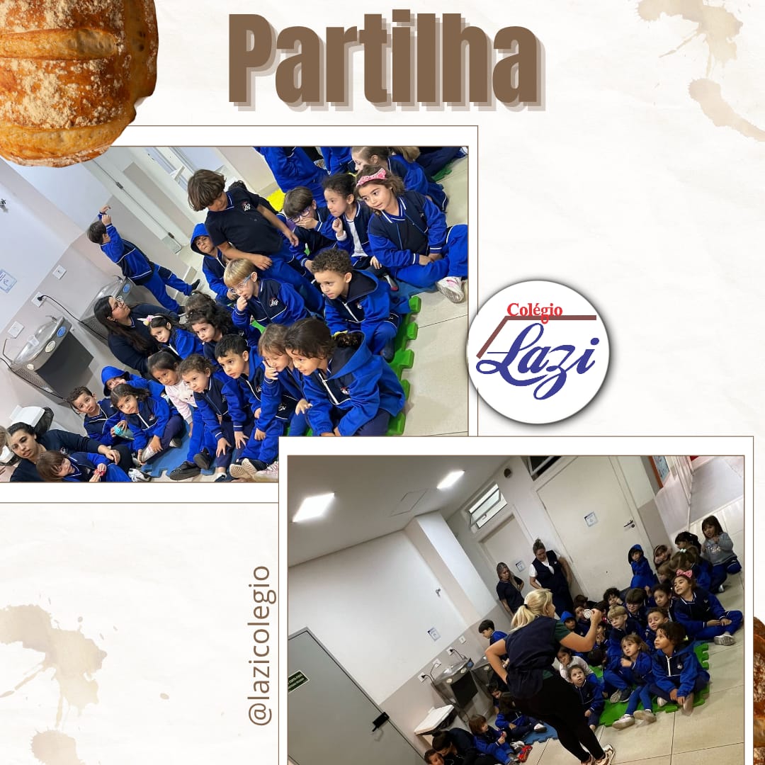 noticia31